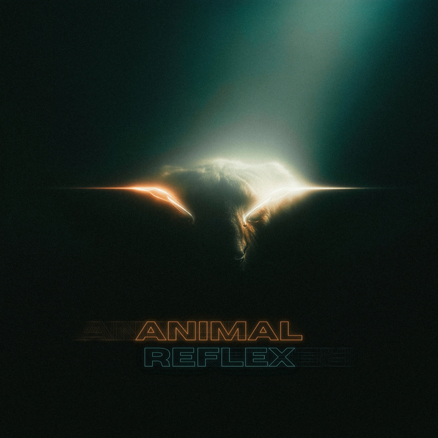 Animal Reflex cover artwork